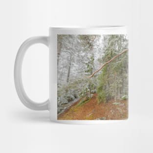 Beautiful serene winter forest landscape Mug